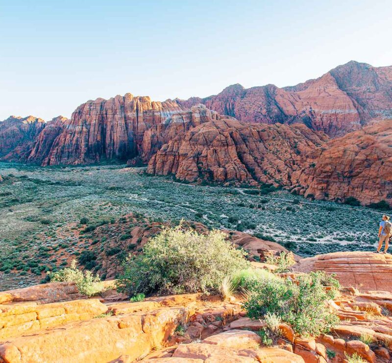 Tips for Moving on a Budget